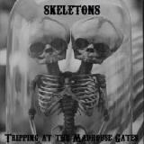 Tripping At The Madhouse Gates Lyrics Skeletons