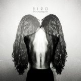 My Fear & Me Lyrics Bird