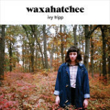 Ivy Tripp Lyrics Waxahatchee