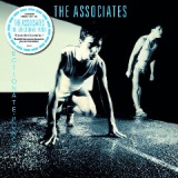The Affectionate Punch [Remastered] Lyrics The Associates