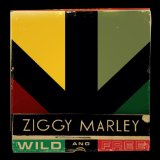 Wild And Free Lyrics Ziggy Marley