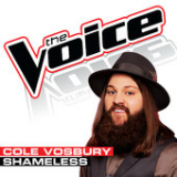 Shameless (The Voice Performance) [Single] Lyrics Cole Vosbury
