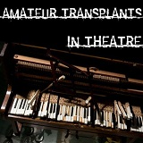 In Theatre Lyrics Amateur Transplants