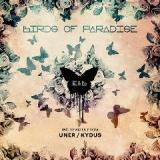 Birds Of Paradise Lyrics Eagles & Butterflies