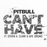 Can't Have (Single) Lyrics Pitbull