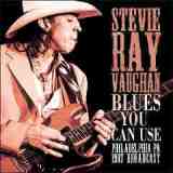 Blues You Can Use Lyrics Stevie Ray Vaughan