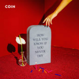 How Will You Know If You Never Try Lyrics Coin