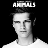 Animals (Single) Lyrics Martin Garrix