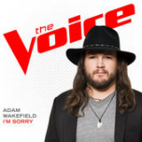 I’m Sorry (The Voice Performance) [Single] Lyrics Adam Wakefield