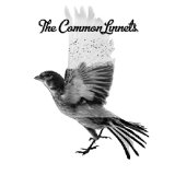 The Common Linnets Lyrics The Common Linnets