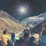 Lonely Is a Lifetime Lyrics The Wild Feathers