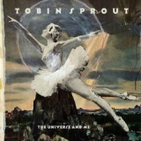 The Universe and Me Lyrics Tobin Sprout