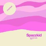 Promise Remixes Pt. 2 Lyrics Spazzkid