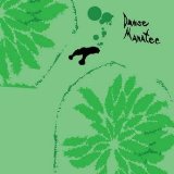 Danse Manatee Lyrics Animal Collective