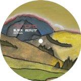 Black Beauty Remixes Lyrics Metope