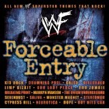 WWF Forceable Entry Lyrics Our Lady Peace
