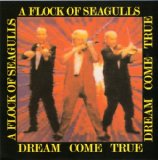 Dream Come True Lyrics A Flock Of Seagulls