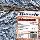 B-nario Lyrics B-Nario