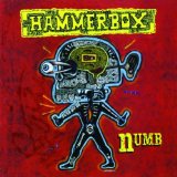Numb Lyrics Hammerbox