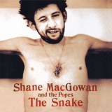 The Snake Lyrics Shane Macgowan And The Popes
