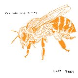 Lost Bees Lyrics The Life And Times