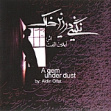 Negin Dar Zire Khak (feat. Payam Blourian Kord, Amir Fat'hi & Orod Anzabipour) Lyrics Aidin Olfat
