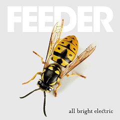 All Bright Electric Lyrics Feeder