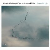 Spark Of Life Lyrics Marcin Wasilewski Trio