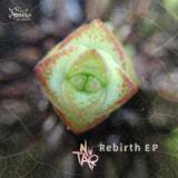 Rebirth EP Lyrics Nu Tao