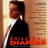 Basketball Diaries Lyrics Flea