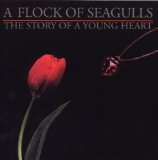 The Story Of A Young Heart Lyrics A Flock Of Seagulls