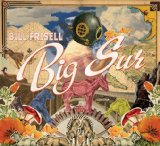 Big Sur Lyrics Bill Frisell