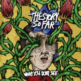 What You Don’t See Lyrics The Story So Far