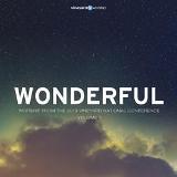 Wonderful - Worship From the 2013 Vineyard National Conference, Vol. 1 (Live) Lyrics Vineyard Music
