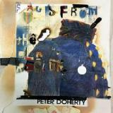 Flags Of The Old Regime Lyrics Peter Doherty