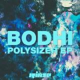 Polysizer Lyrics Bodhi