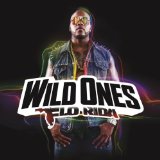 Wild Ones Lyrics Flo Rida