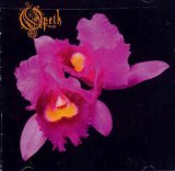 Orchid Lyrics Opeth