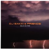 Miscellaneous Lyrics DJ Sakin & Friends