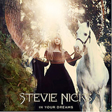 In Your Dreams Lyrics Stevie Nicks