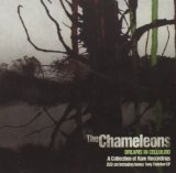 Dreams In Celluloid Lyrics The Chameleons UK