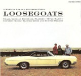 A Mexican Car In a Southern Field Lyrics Loosegoats