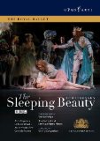 Sleeping Beauty Lyrics Sleeping Beauty