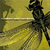 The Second Stage Turbine Blade Lyrics Coheed and Cambria