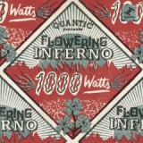 1000 Watts Lyrics Quantic & Flowering Inferno