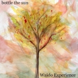 Bottle the Sun Lyrics Waido Experience