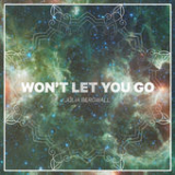 Won't Let You Go (Single) Lyrics Julia Bergwall