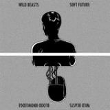 Soft Future (Single) Lyrics Wild Beasts