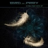 Stray Feathers EP Lyrics Bird Of Prey