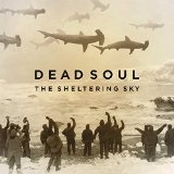 The Sheltering Sky Lyrics Dead Soul